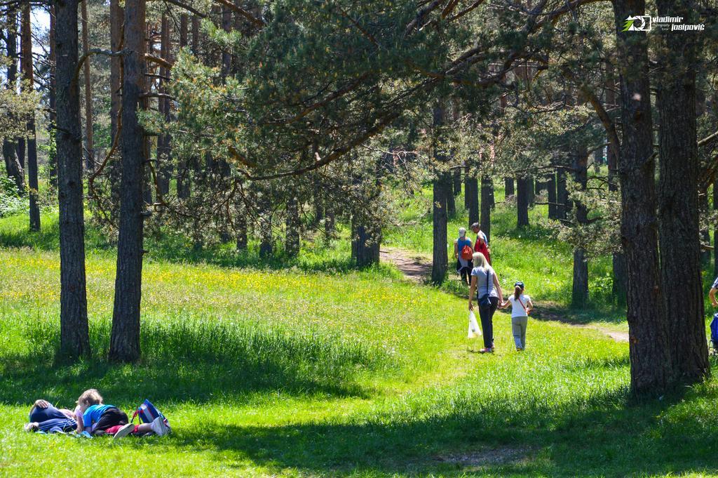 Apartments Josipovic Zlatibor Esterno foto